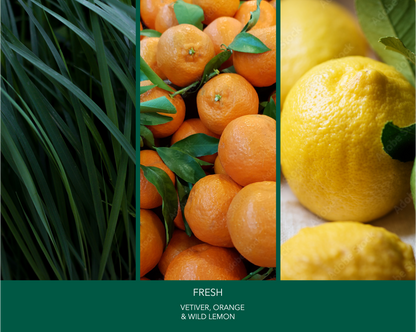 Credence Fresh men's shampoo with vetiver orange and wild lemon scent 300ml"