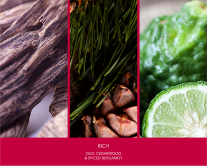 "Credence Rich men's shampoo bottle with oud cedarwood and spiced bergamot scent 300ml" Voted best shampoo. Award winning 