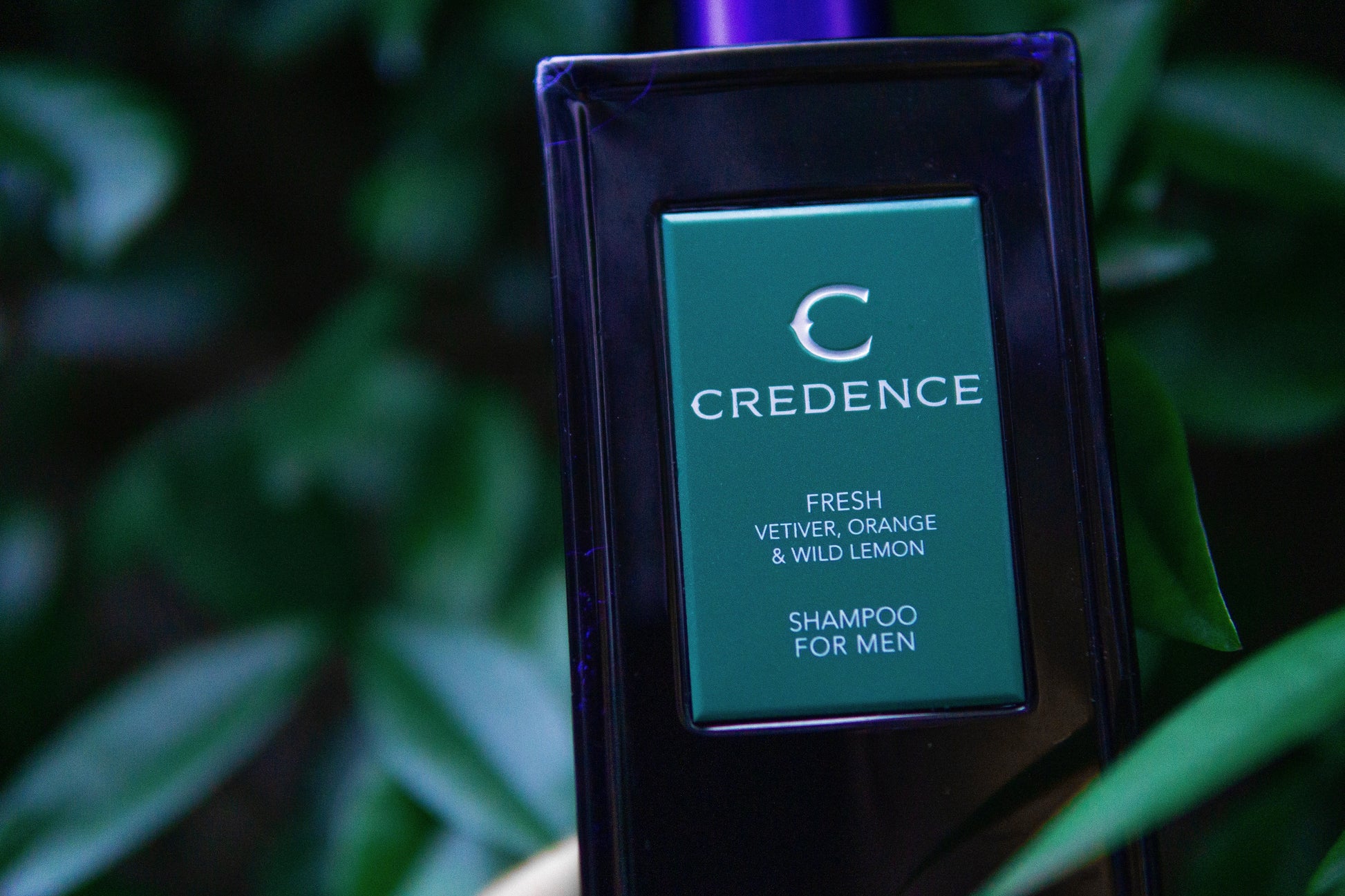 Credence Fresh men's shampoo bottle with vetiver orange and wild lemon scent 300ml"