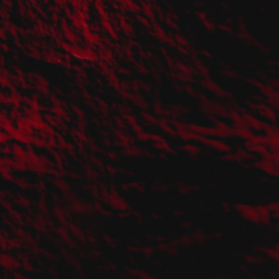 "Credence Rich men's shampoo bottle with oud cedarwood and spiced bergamot scent 300ml"