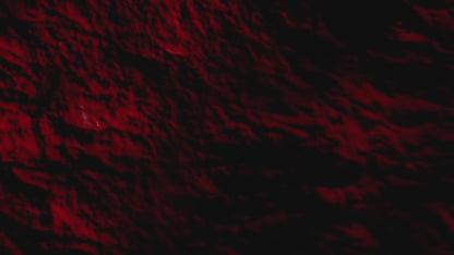 "Credence Rich men's shampoo bottle with oud cedarwood and spiced bergamot scent 300ml"